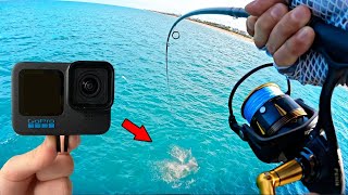 Dropping a GoPro Under a Popular Fishing Pier Wild [upl. by Kaslik]