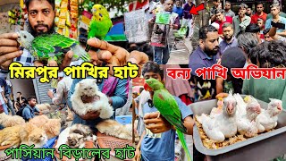 বন্য পাখি অভিযানবৃষ্টিতে জমজমাট মিরপুর পাখির হাটPersian CatAmazonTia pakhi  Mirpur pakhir haat [upl. by Gian]