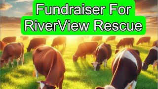 Fundraiser For RiverView Rescue [upl. by Llerdnam]