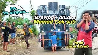 Benar² keder Brewog 8sub diloss rasa 12 sub penonton gk kuat dan sampe lari terheran² [upl. by Spalla]