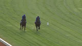 12 Nov Gallops Gallop 6 [upl. by Bowles575]