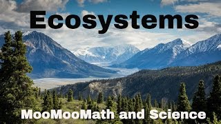 What are Ecosystems [upl. by Carlie]