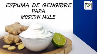 COMO FAZER ESPUMA DE GENGIBRE PARA MOSCOW MULE [upl. by Netsuj180]