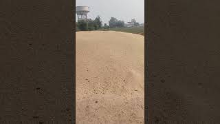 Paddy harvesting and cultivation  total 4 acer padd yorld agriculture smartagri paddycrop sm [upl. by Atnahsal111]