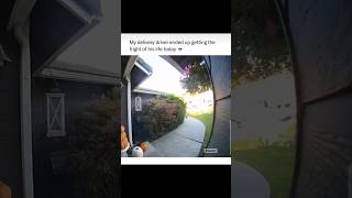 Tip Your Local Delivery Driver ups fedex lol memes reels funny fyp youtubeshorts deer [upl. by Ruffo]