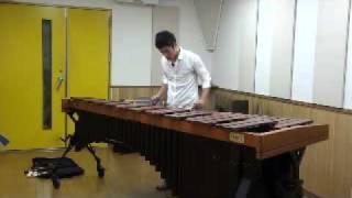 ilijas  NJ Zivkovic  for solo marimba [upl. by Emogene]