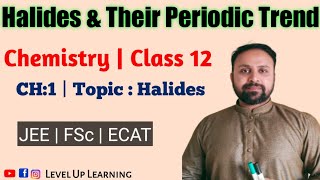 Halides  Types of Halides  Periodic Trend of Halides  polarizing Power amp Polarzibility  M waqas [upl. by Ahsikahs]