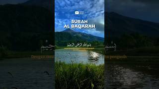 Surah Al Baqarah Mishary Rashid Alafasy surahalbaqarah surahbaqarahmishary souratealbaqara [upl. by Ardolino35]