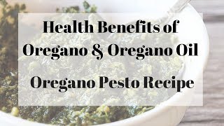 Health Benefits and Uses of Oregano w Oregano Pesto Recipe [upl. by Doty302]