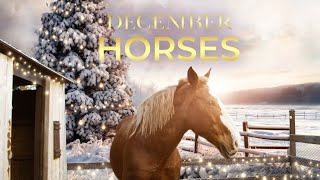 December Horses 2024 Official Trailer  Coming Soon to EncourageTV [upl. by Brindell]