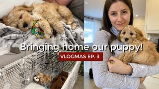 BRINGING HOME OUR CAVAPOO PUPPY  VLOGMAS Ep 3 [upl. by Quinby713]