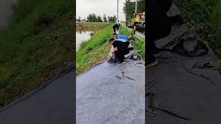 Cement carpet laying process [upl. by Ateinotna643]