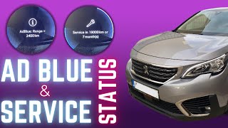 How to  AdBlue amp SERVICE STATUS  Peugeot  Tutorial Help [upl. by Pauiie]