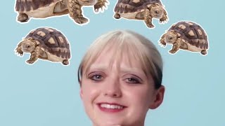 Maisie Williamss Creep of Tortoises [upl. by Ainoz657]