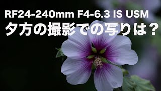 Canon RF24240mm F463 IS USM 、夕日の光での写りは？ [upl. by Dadivitan]