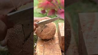 Skills in opening coconut shells [upl. by Statis798]