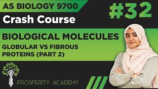 Globular VS Fibrous Proteins  Part 2   Biological Molecules  9700 AS Biology UrduHindi [upl. by Atinor]