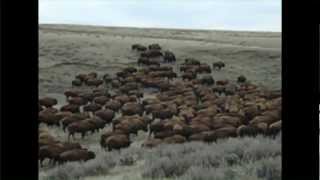 Durham Ranch in Wyoming [upl. by Ennybor]