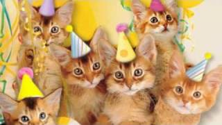 Cute Cats Sing quotHappy Birthdayquot [upl. by Dulci]