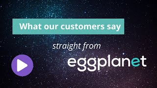 What our customers say at Eggplanet [upl. by Ravid801]