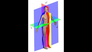 Planes of Motion Dr Denny A Patel DPT CSCS [upl. by Yeruoc]