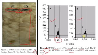 Taxol Part 02  Industrial Production Isolation Method Estimation and Utilization Part 14 [upl. by Crispen233]