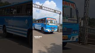 🇮🇳✨VAZHAYIL GRACE MARIYA അടിവാരം പാലാ shortsvideoarlightvazhoor channel​trendingtravel​ [upl. by Eidnalem]