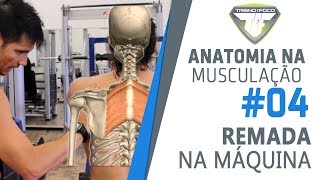 Diferentes pegadas Remada na Máquina  Trapézio  Romboides  Latíssimo  Anatomia na Musculação 4 [upl. by Einhorn]