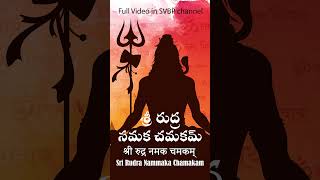 Sri Rudram Namakam Chamakam with Telugu Lyric  శ్రీరుద్ర నమకం చమకం  Sri Rudram in Telugu [upl. by Nref]