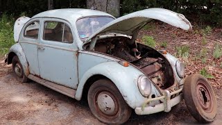 Barn Find  Forgotten VW Beetle found sitting 32 years  Rescue amp Clean [upl. by Malaspina550]