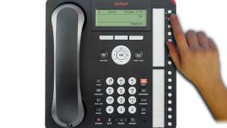 Avaya 1416 amp 1616 on IP Office  Hold and Transfer [upl. by Mallina]