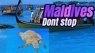 you need to know about the MaldivesWhere is the Maldives [upl. by Gifferd]