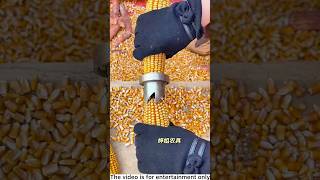 Corn husking gadget😍shorts gadgets [upl. by Kubiak]