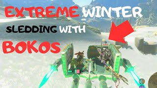 EXTREME WINTER SLEDDING WITH BOKOS [upl. by Nim805]