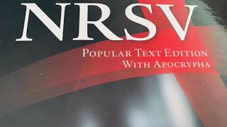 Sirach or Ecclesiasticus NRSV Bible Chapter 19 Apocryphal Audiobook [upl. by Llertnahs]