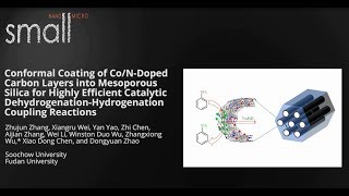 Conformal Coating of CoNDoped Carbon Layers into Mesoporous Silica [upl. by Refinaj181]