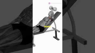 Master the Seated Overhead Press for Stronger Shoulders [upl. by Reggie]