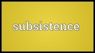 Subsistence Meaning [upl. by Parnas896]