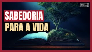 Provérbios 1 Estudo SABEDORIA PARA A VIDA Bíblia Explicada [upl. by Aihseym]