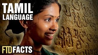 The Real History of The Tamil Language [upl. by Hallam]