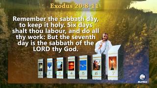 Holy Time  The SABBATH Day  By Peter Neville [upl. by Perren748]