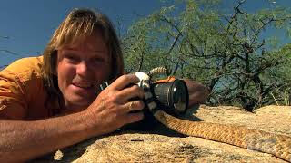 Austin Stevens  Snakemaster  Rattlers of the wild west [upl. by Jareb]