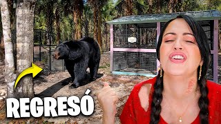 REGRESA EL OSO y ME CAIGO 😳 Sucede de TODO en La Finquita Bonita 🤭 Sandra Cires Vlog [upl. by Eenafets]