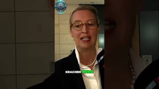 🔥 Alice Weidel enthüllt Warum die CDUCSU dringend Koalitionen braucht 😱 [upl. by Fechter]