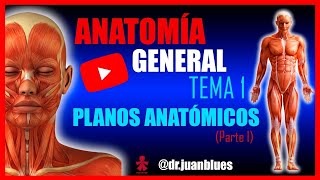 TEMA 1 POSICIÓN ANATÓMICA  PLANOS ANATÓMICOS  TÉRMINOS DE POSICIÓN Anatomía [upl. by Emmie410]