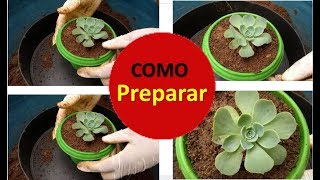 Como preparar a melhor terra para suculentas [upl. by Pain]