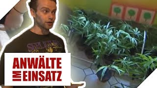 Hanfpflanzen im Kinderzimmer Hilfe mein Sohn ist Grasdealer  Anwälte im Einsatz  SAT1 [upl. by Pentheas]