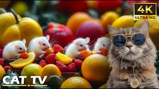 10 Hours of Cute Little White Mouse Hiding From Cats Funny 🐭 Cat TV in 4K 60FPS🐱 Mice TV Kitten [upl. by Punke]