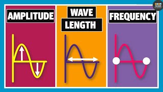 Wavelength Frequency Time Period and Amplitude  Physics [upl. by Gunnar]