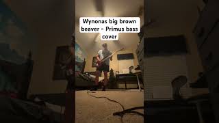 Wynonas big brown beaver  Primus bass cover [upl. by Ahsina912]